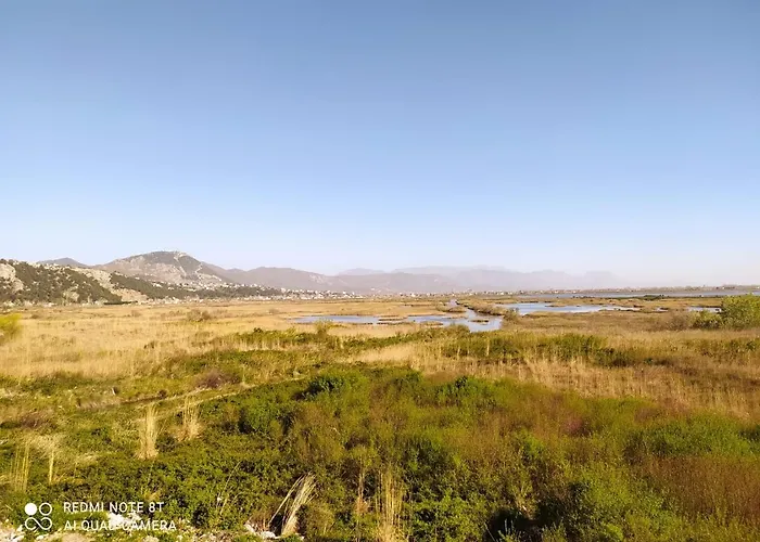 Leos New 2 アパート